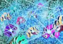 The Venture Capital Race and Rise of Decentralized AI