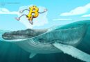 Bitcoin leveraged long momentum sees BTC price reach $106,500 and liquidate late shorts.