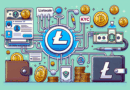 How to Convert Litecoin to Fiat Currency Without KYC in 2025