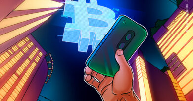 Fold Revenue Rises 8% in Q4 Amid Continued BTC Rewards Push