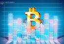 Bitcoin Treasury Sell-Off Could Signal Deeper Capitulation Coming: Analyst