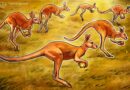 Australia to Mandate Crypto Licensing Under New Law