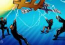 Bitcoin Whales and Dolphins Signal Bear Market